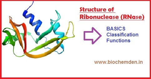 [RNase3.jpg]