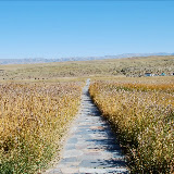 Tianshan - Paysage prairie et chemin