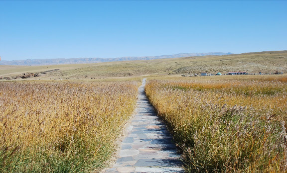 Tianshan - Paysage prairie et chemin