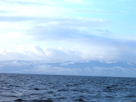 bodensee_fischer_jto2.jpg