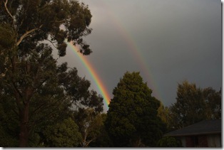 rainbow 1 rainbow 1
