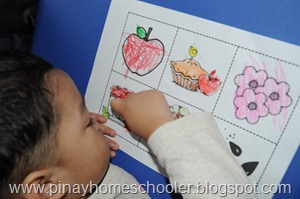 The Life Cycle of Apple – Preschool Version