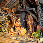 1499-11.JPG