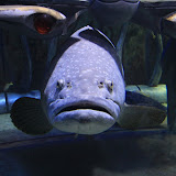 IMG_4800.JPG