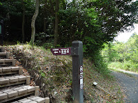 P1110143.JPG Photo