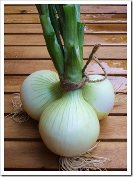 summer onions