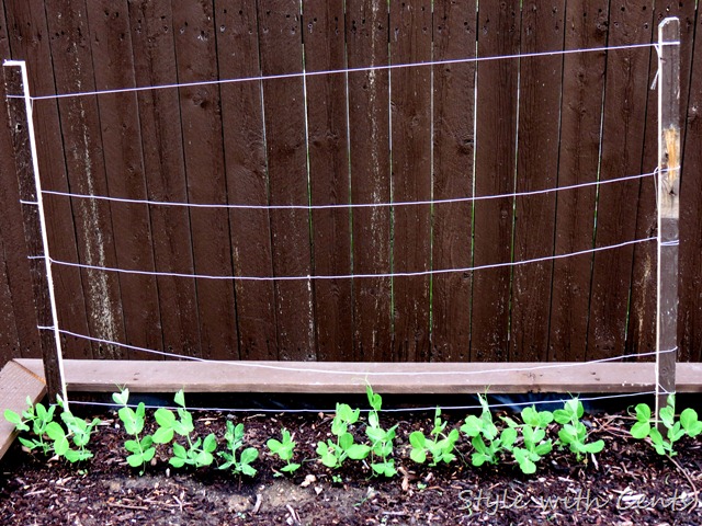 square foot gardening how to garden in a raised garden bed10