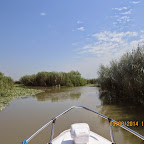 IMG_5734.JPG