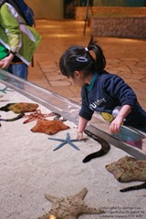 IMG_2991 IMG_2991