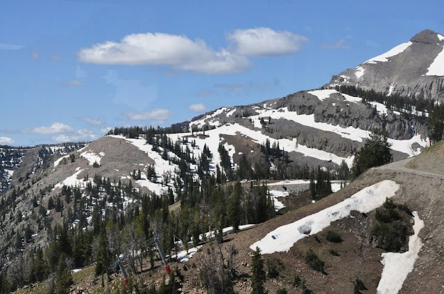 DSC_0713.JPG