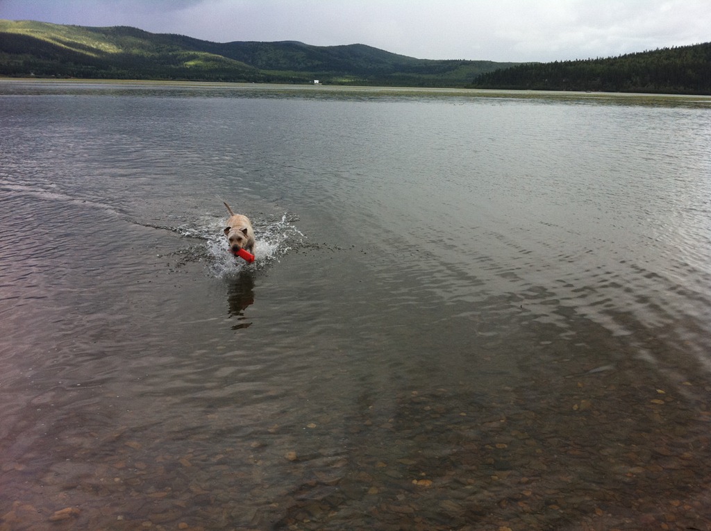 [Alaska_Aug2011%2520150%255B4%255D.jpg]