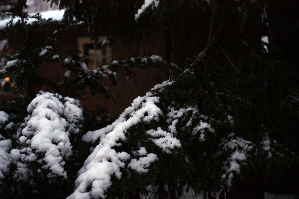 [IMG_3813%255B4%255D.jpg]