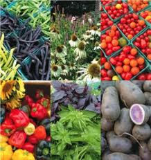 Photo Courtesy:  ISU Extension