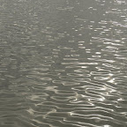 El mar