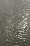 El mar El mar