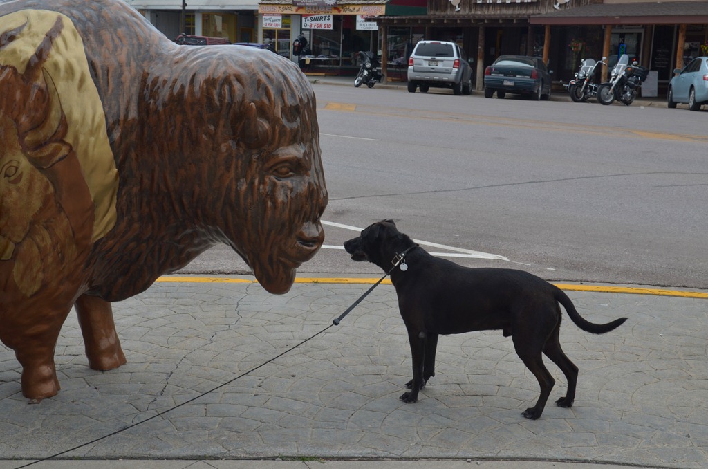 [day%252011_127DSC_0127%255B4%255D.jpg]