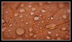 web_IMG_6221