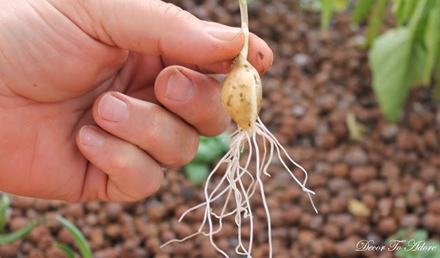 [1-IMG_2308%255B3%255D.jpg]