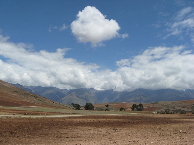 [IMG_14163.jpg]
