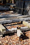 Here are the granite pillars Martha likes to use for things like her pergola.  They're 18th century and she had them shipped all the way from China!