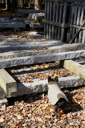 Here are the granite pillars Martha likes to use for things like her pergola.  They're 18th century and she had them shipped all the way from China!