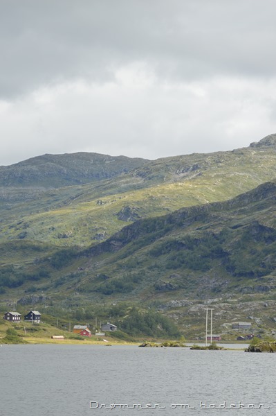 DSC_0134 DSC_0134