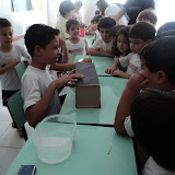 DSC03272.JPG