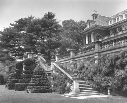 The terraced staircase leading to the South lawn. So romantic.  I really love the clipped shrubs and if you look closely , you can see the giant wisteria vine covering the brick wall.