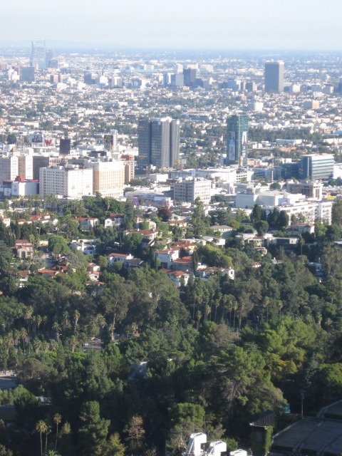 [IMG_26523.jpg]