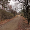 dsc05351.jpg