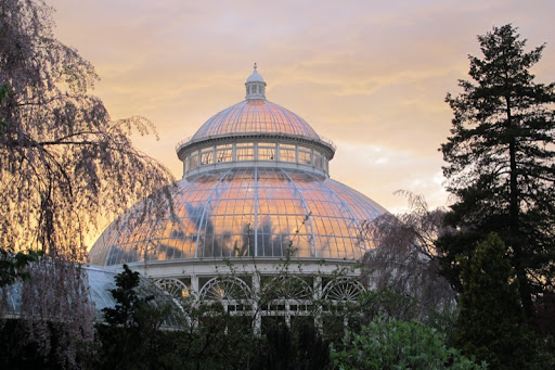 The conservatory looks like an opal with the sunset outlining the palm trees.