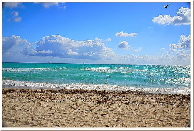 beach-copyright-free-pictures-9 (789)