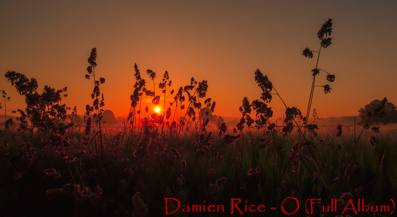 Rice Rice