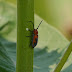 P1090338