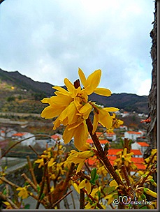 SAM_0304 SAM_0304