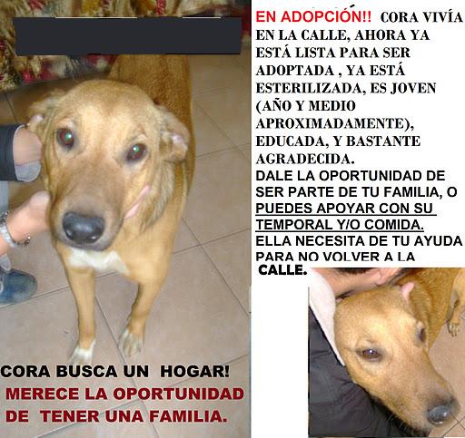CORA NUEVO1.jpg