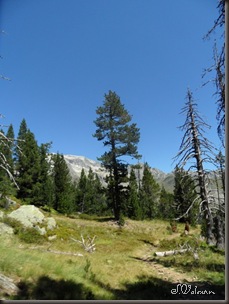 SAM_0648 SAM_0648