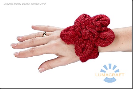 Lumacraft-_MG_8024-Edit-logo-web