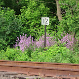 MN-White-Bear-Lake_Skally-MP12_2010-06-01_Mile-post-12_020.jpg MN-White-Bear-Lake_Skally-MP12_2010-06-01_Mile-post-12_020.jpg