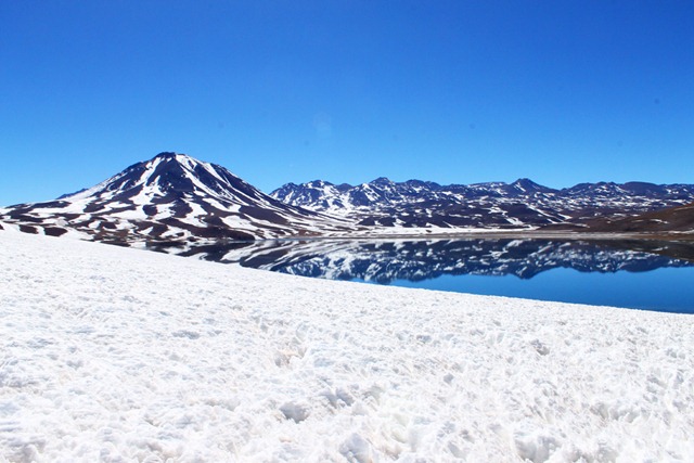 Laguna Miscanti, San Pedro de Atacama, Chile.