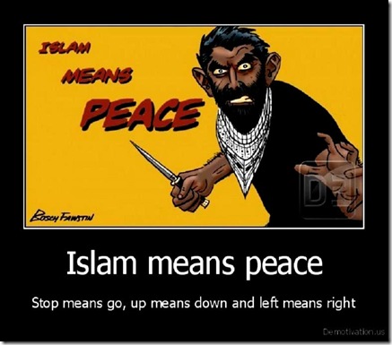 Islam Means Peace toon