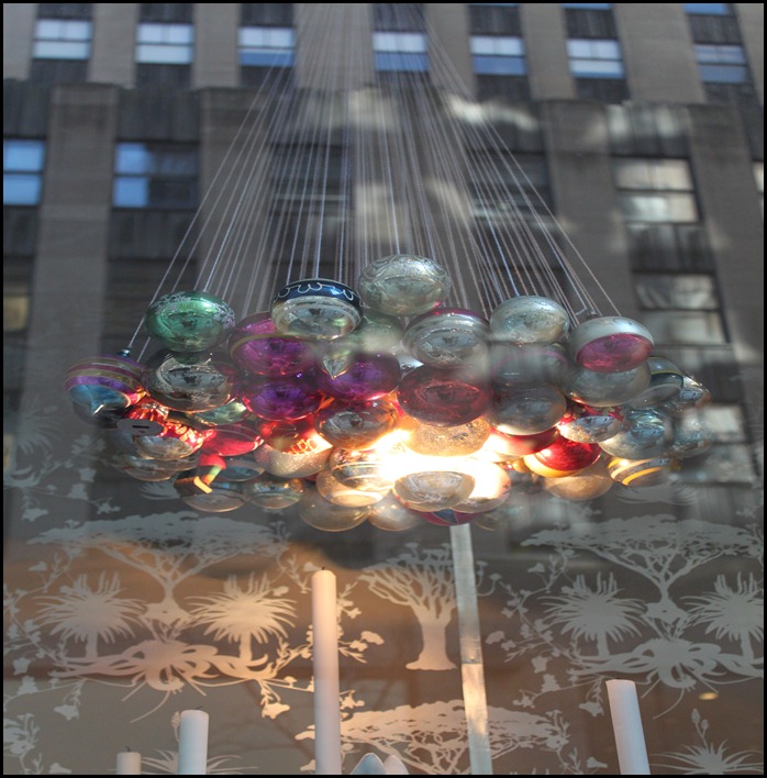 IMG_3004 IMG_3004