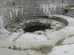 IMG_1380.jpg