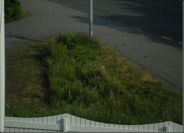 vatipää 016 vatipää 016