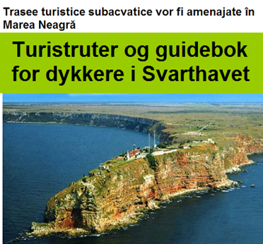 strute strute