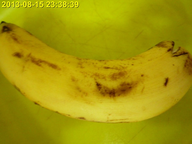 P1010977