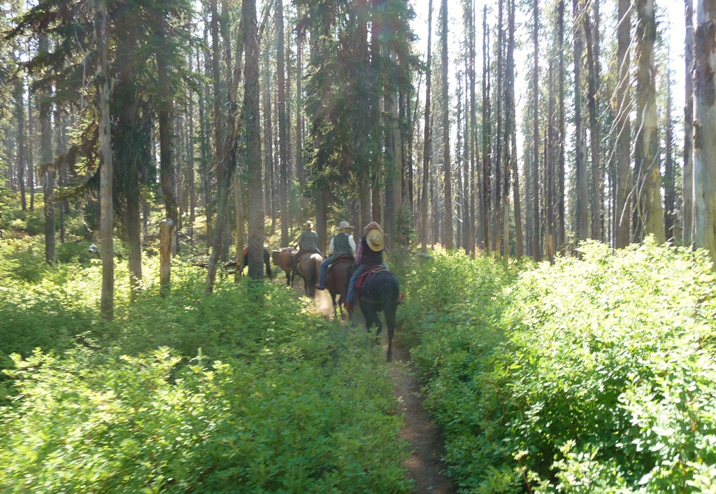 [Horse-trip-0565.jpg]
