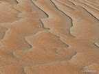 Hidden Vlei