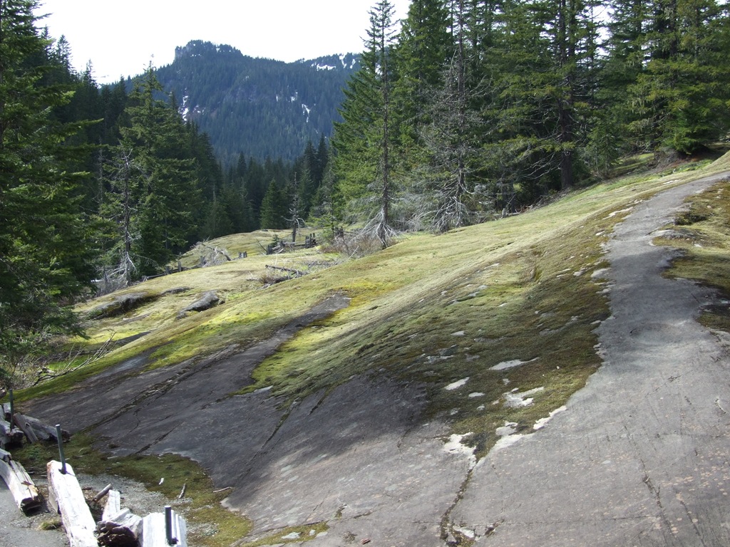 [DSCF72534.jpg]
