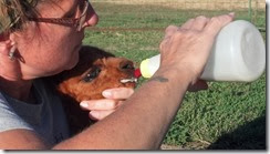 peanut being fed